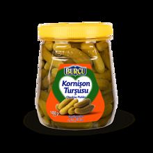 1480 GR BURCU SALATALIK TURŞUSU CAM NO:2