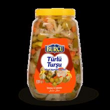 3700 GR BURCU TÜRLÜ TURŞU PET