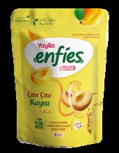 YAYLA ENFIES FREEZE DRIED KAYISI 20 GR