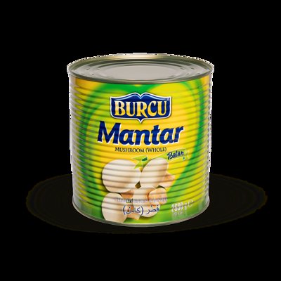 2600 GR BURCU BÜTÜN MANTAR KONSERVESİ