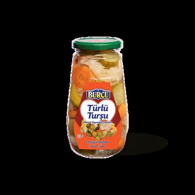 560 GR BURCU TÜRLÜ TURŞUSU CAM